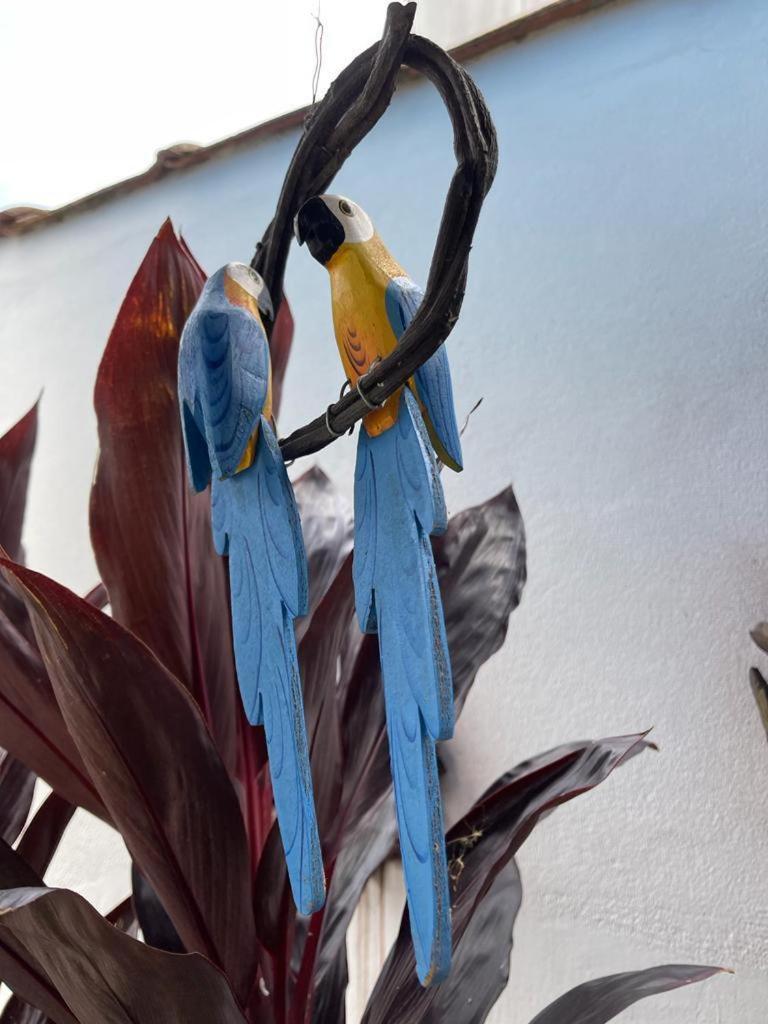 Chales Camburi Sao Sebastiao  Exterior photo